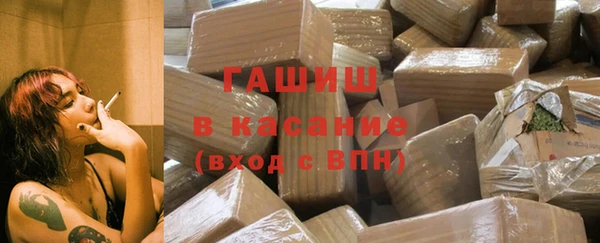 прущие грибы Алзамай