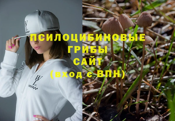 синтетический гашиш Алексин