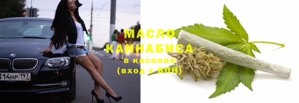 прущие грибы Алзамай