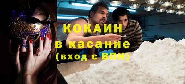 прущие грибы Алзамай