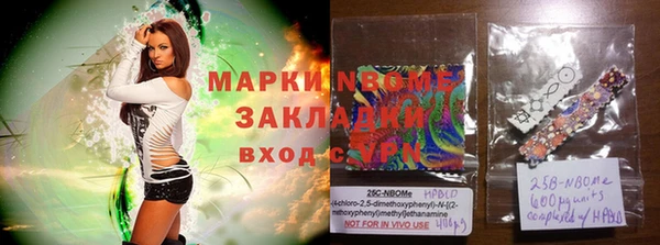 прущие грибы Алзамай