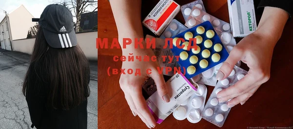 прущие грибы Алзамай